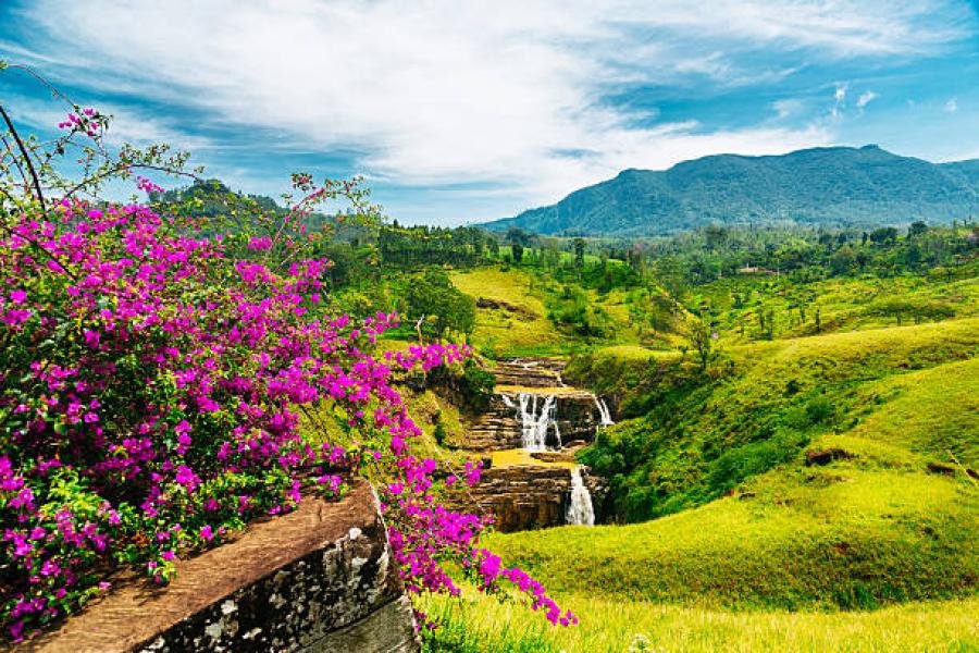 Highlights of Nuwara Eliya